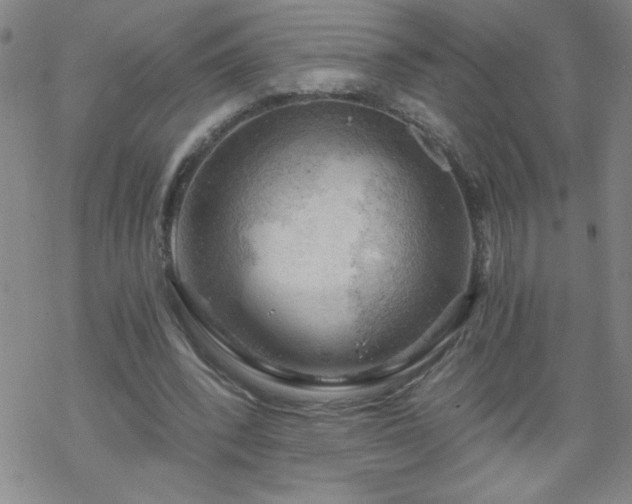 X0000068900392200605122105