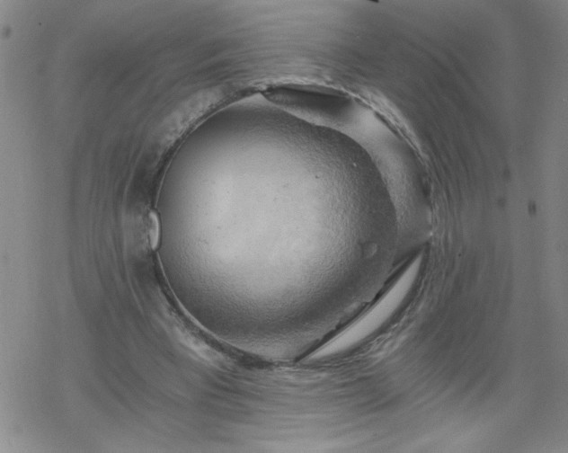 X0000068900393200605122105