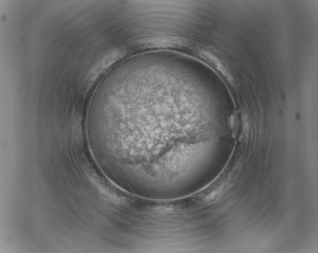 X0000068900394200605122105