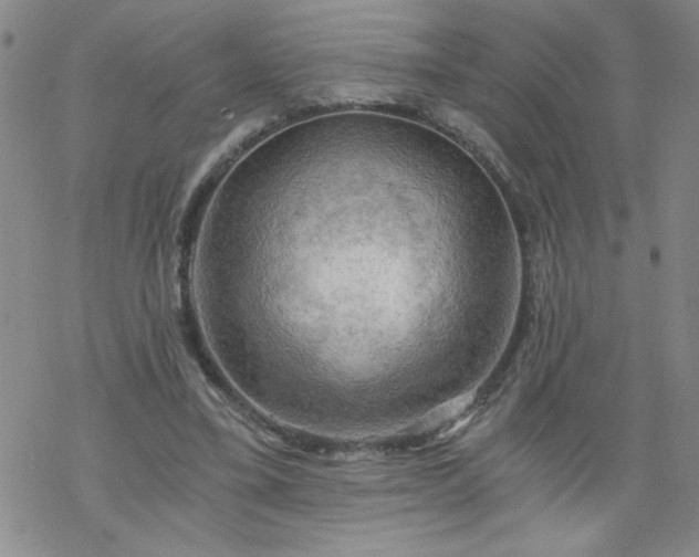 X0000068900395200605122105