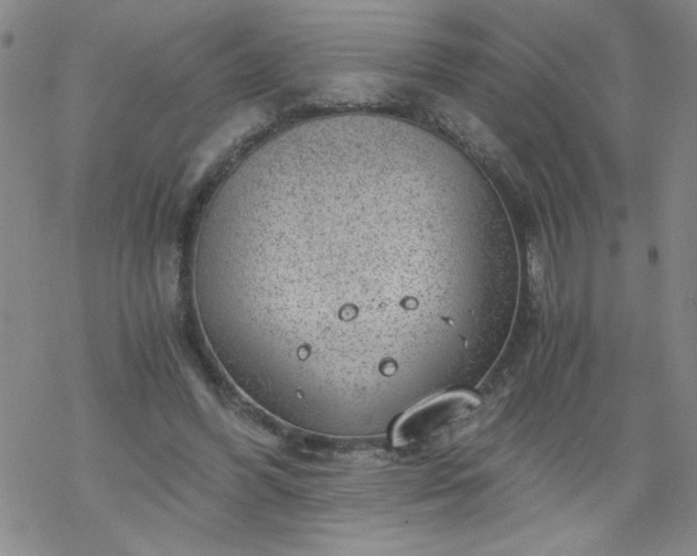 X0000068900396200605122105