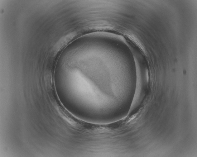 X0000068900397200605122105