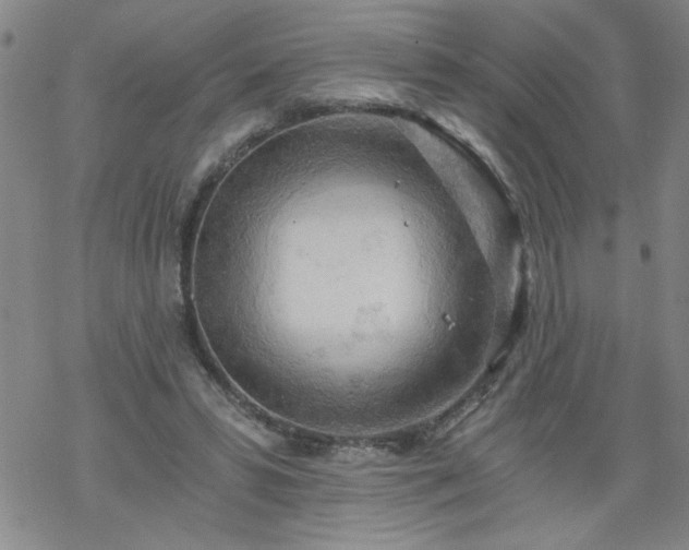 X0000068900399200605122105