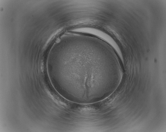 X0000068900400200605122105