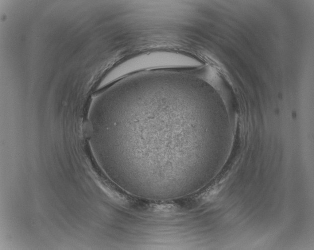 X0000068900401200605122105