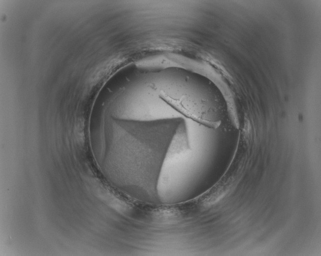 X0000068900402200605122105