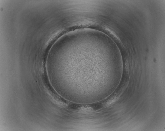 X0000068900403200605122105