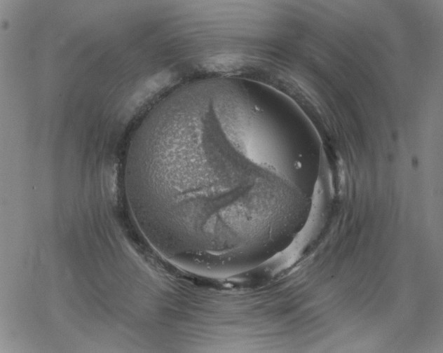 X0000068900404200605122105