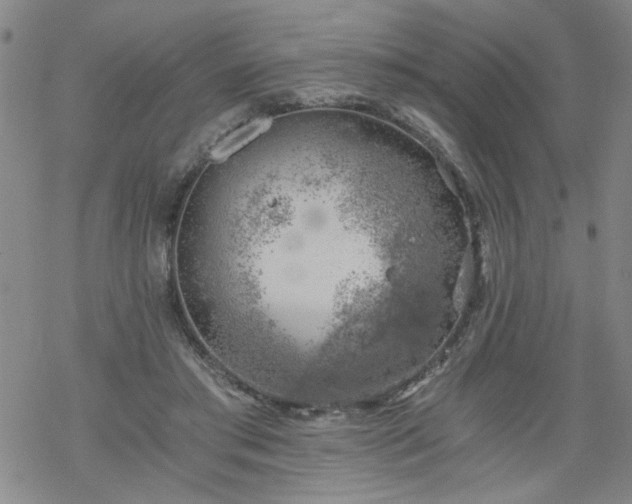 X0000068900405200605122105