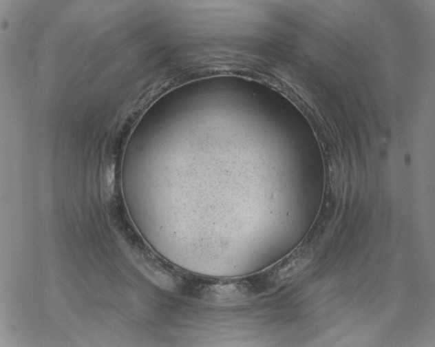 X0000068900406200605122105