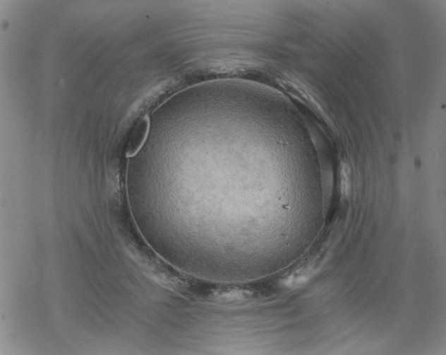 X0000068900407200605122105