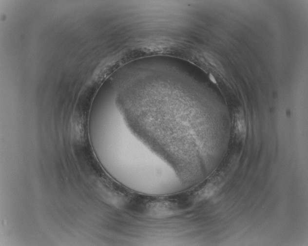 X0000068900408200605122105