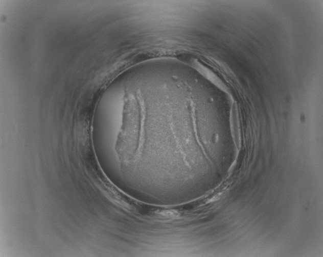 X0000068900409200605122105