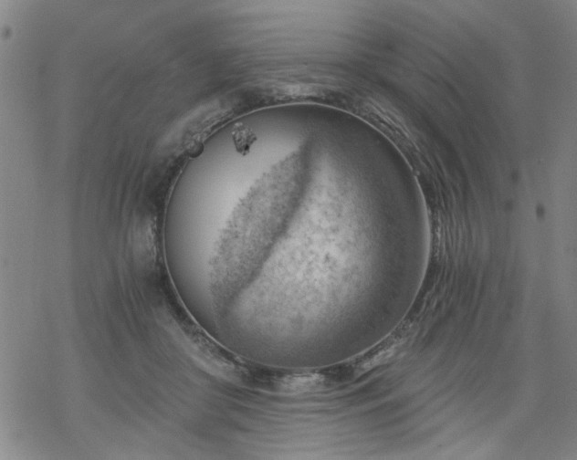 X0000068900410200605122105