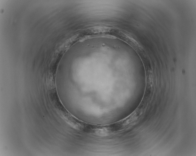 X0000068900411200605122105