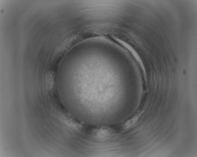 X0000068900412200605122105