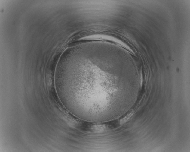 X0000068900413200605122105