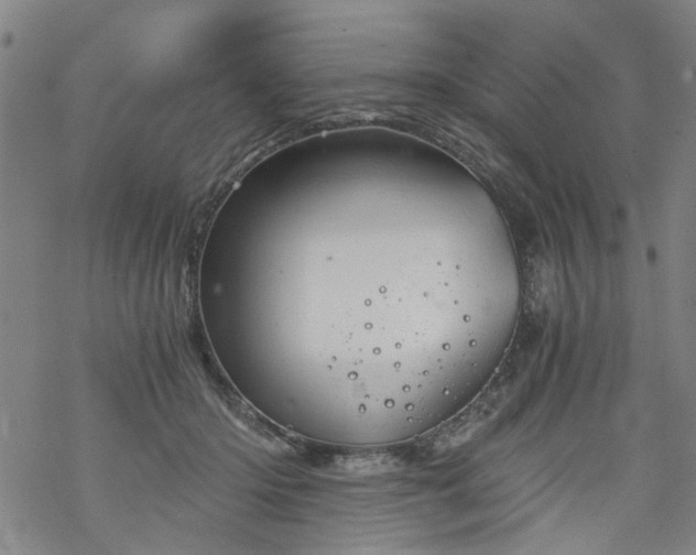 X0000068900414200605122105