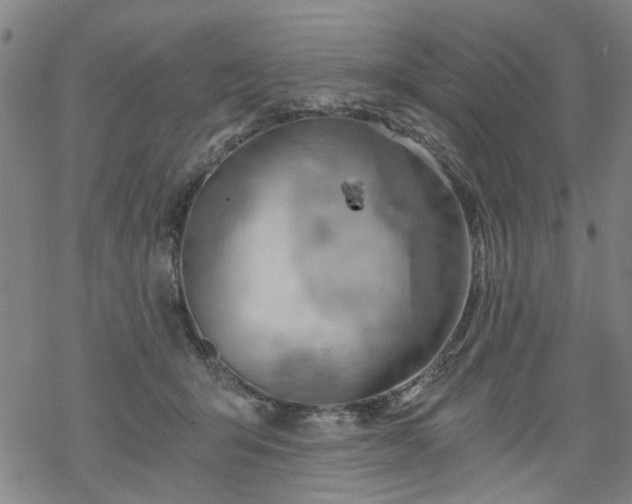 X0000068900415200605122105