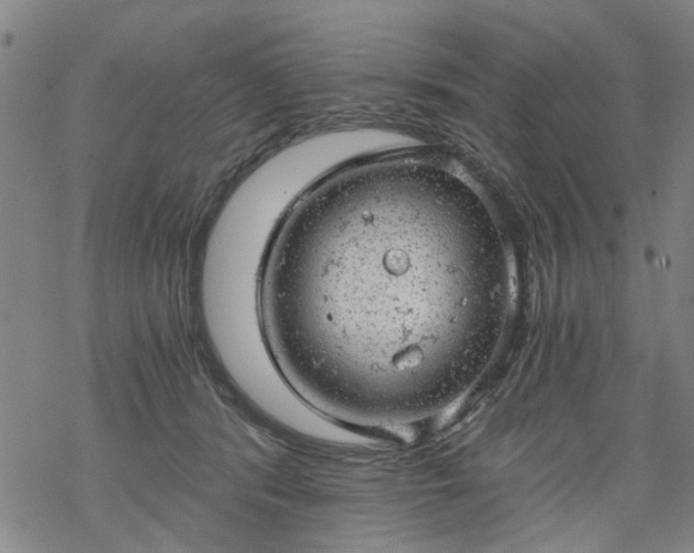 X0000068900416200605122105