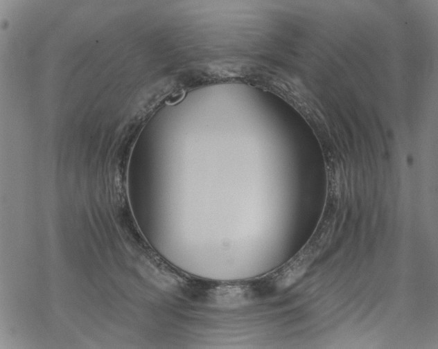 X0000068900418200605122105