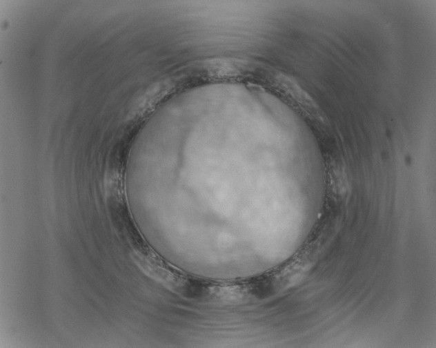 X0000068900419200605122105