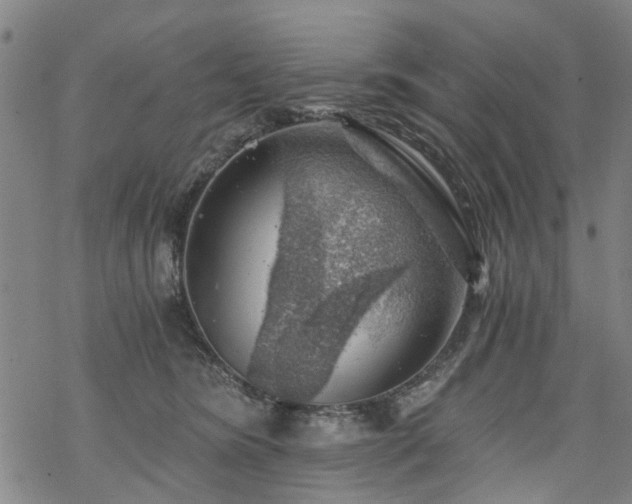 X0000068900420200605122105