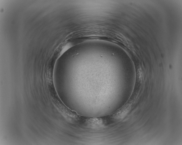 X0000068900421200605122105