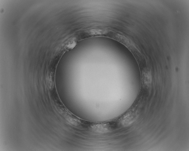 X0000068900422200605122105