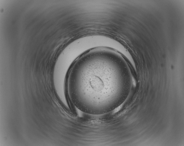 X0000068900423200605122105