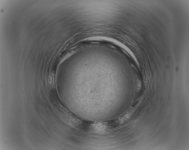 X0000068900425200605122105