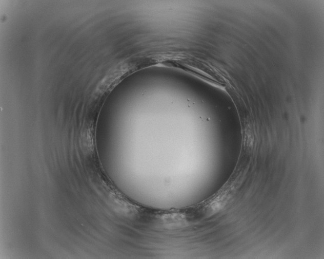 X0000068900426200605122105