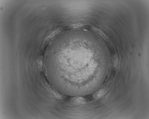 X0000068900427200605122105