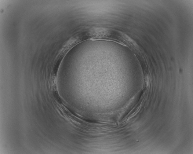 X0000068900429200605122105