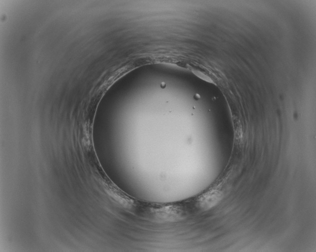 X0000068900430200605122105