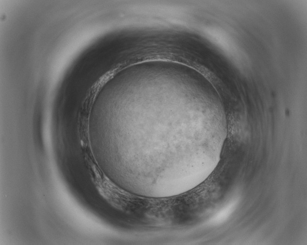 X0000068900431200605122105