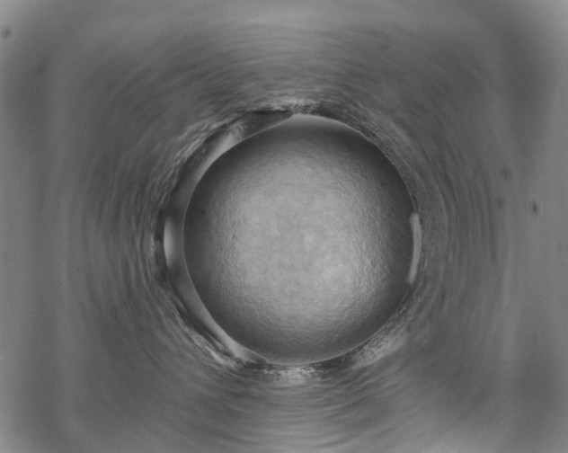 X0000068900432200605122104