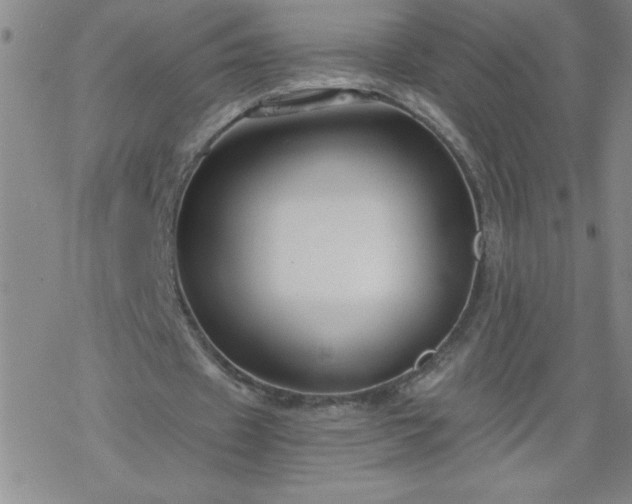 X0000068900433200605122104