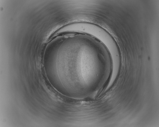 X0000068900434200605122104