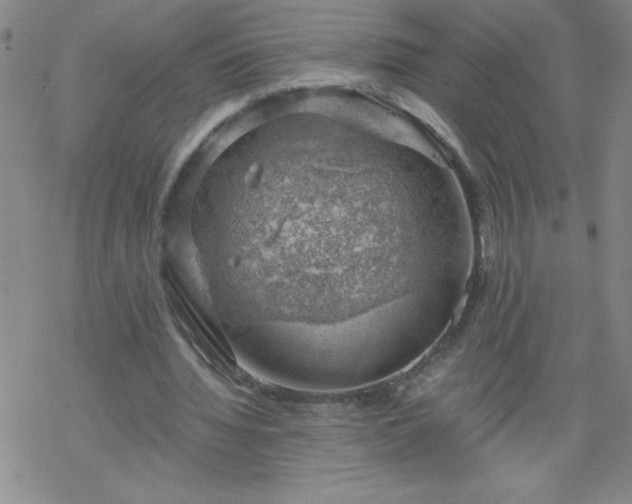 X0000068900436200605122104