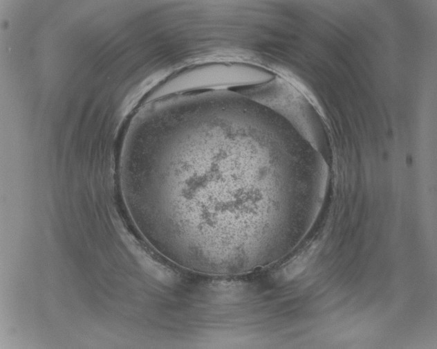 X0000068900437200605122104