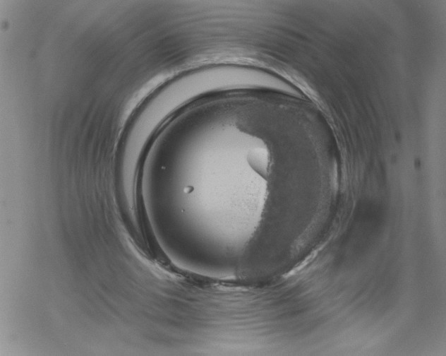 X0000068900438200605122104