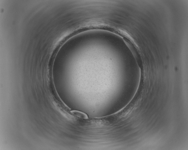 X0000068900439200605122104