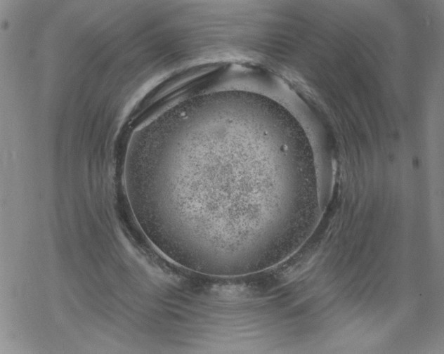 X0000068900440200605122104