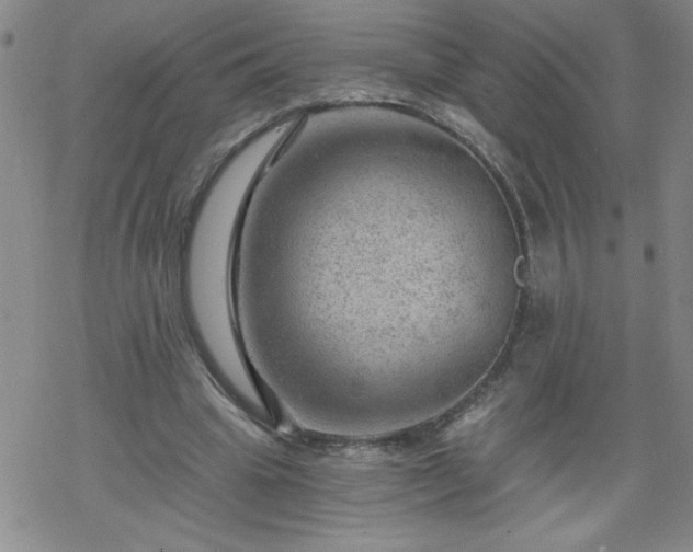 X0000068900441200605122104