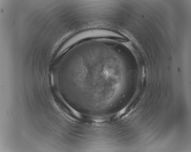 X0000068900442200605122104