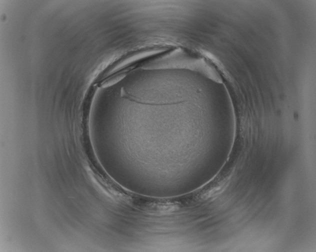 X0000068900443200605122104