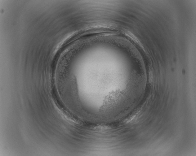 X0000068900444200605122104