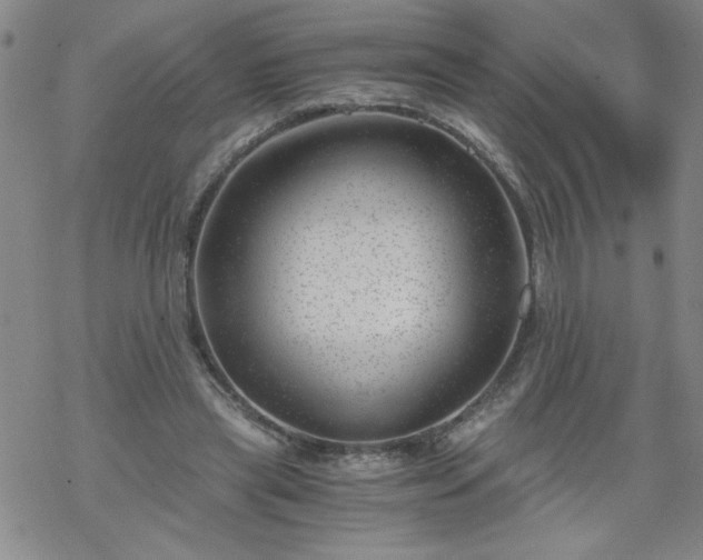 X0000068900445200605122104