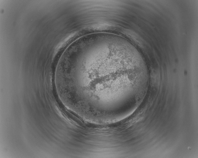 X0000068900446200605122104